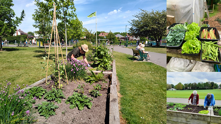 Bury Set to Flourish with Launch of the ‘Right to Grow’ Initiative