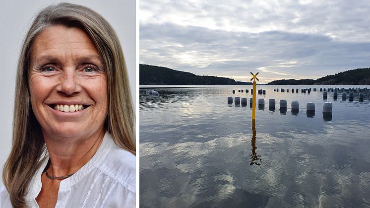 Montage: Ingela Skärström och en musselodling. 