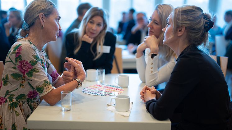 At Royal Djurgården & and for its 60 attractions, cooperation is key - now their way of work is recognized. 