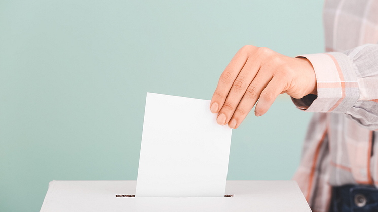 Picture of someone voting