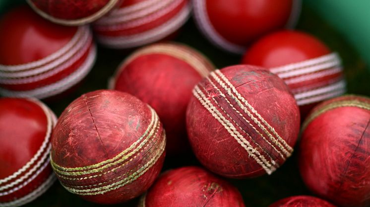 New Cricket Discipline Panel Members Appointed
