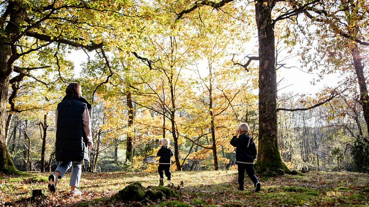 En familj upptäcker den vackra naturen i Falkenberg