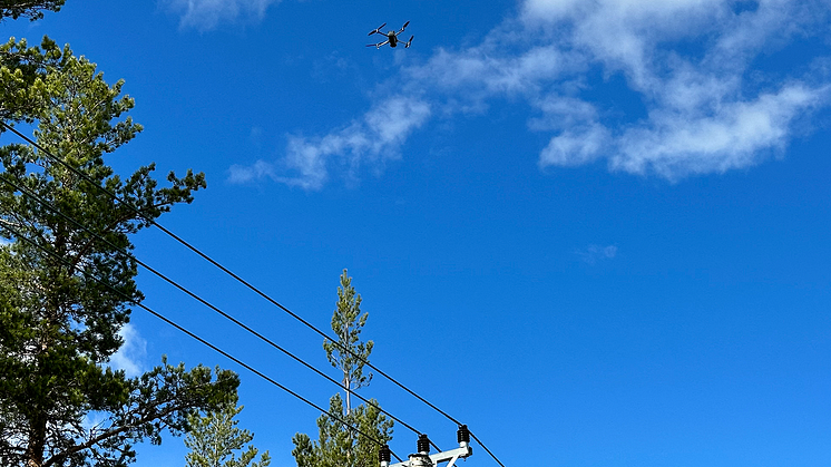 Drönaren fångar detaljer från luften som annars kan vara svåra att upptäcka.