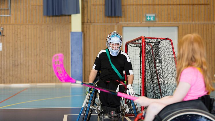 Foto: Phia Bergdahl/Johnér