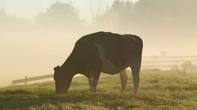 Olsson Parts ställer ut på den norska jordbruksmässan Agrovisjon i Stavanger