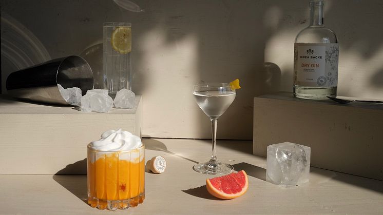 Tre år av Skrea Backe Dry Gin Så blandar du den perfekt