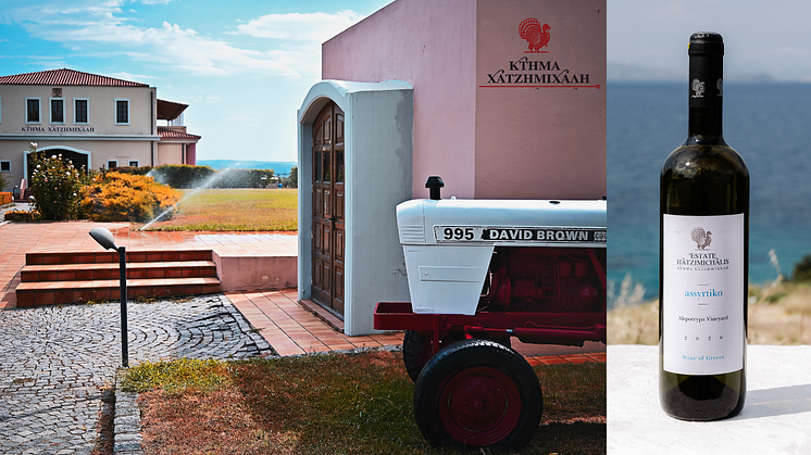 Tillfällig lansering - Assyrtiko Alepotrypa Vineyard 2023
