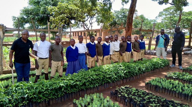 3 Tree nursery in school (3).jpg