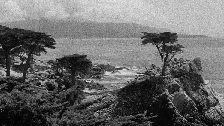John-Skoog-Shadowland-2014-Courtesy-of-Filmform.jpeg
