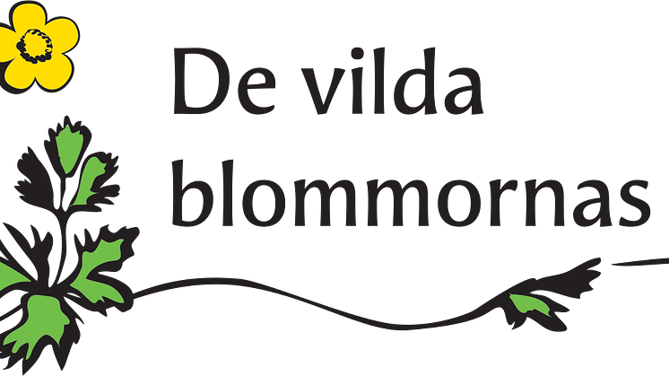 DVBD clear.png