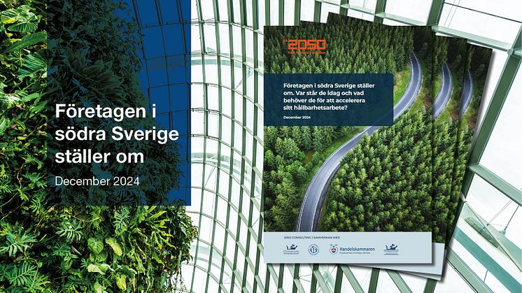 Ny rapport om näringslivets gröna omställning
