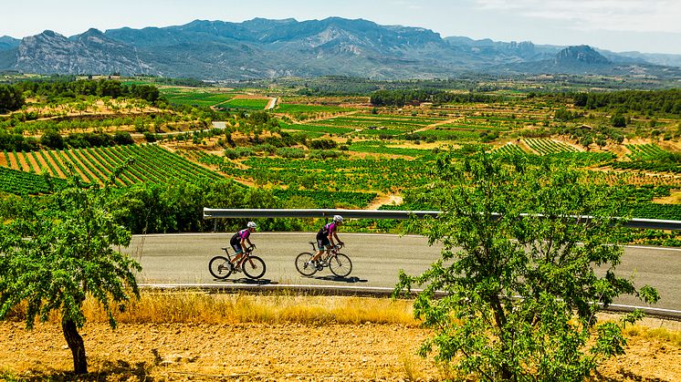Penedès 360 cykelruter i Catalonien: oplev dem!