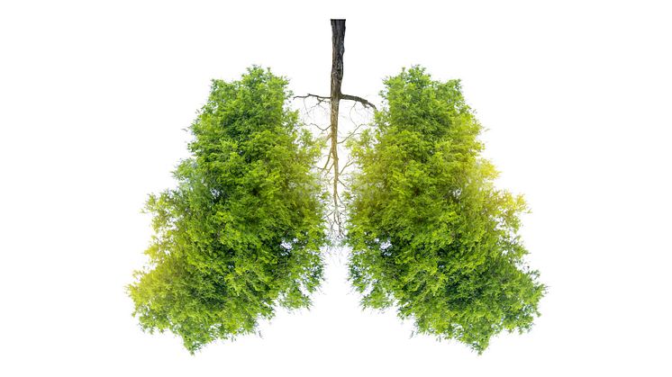 Radon is estimated to cause 3 to 14 percent of all lung cancer cases in the world, depending on where you live and how much radon you are exposed to.