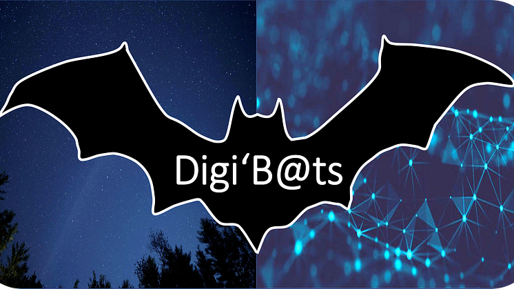 Das Institut BERGVINK lädt ein: Analoge, digitale und hybride Gamification mit den Digi'B@ts