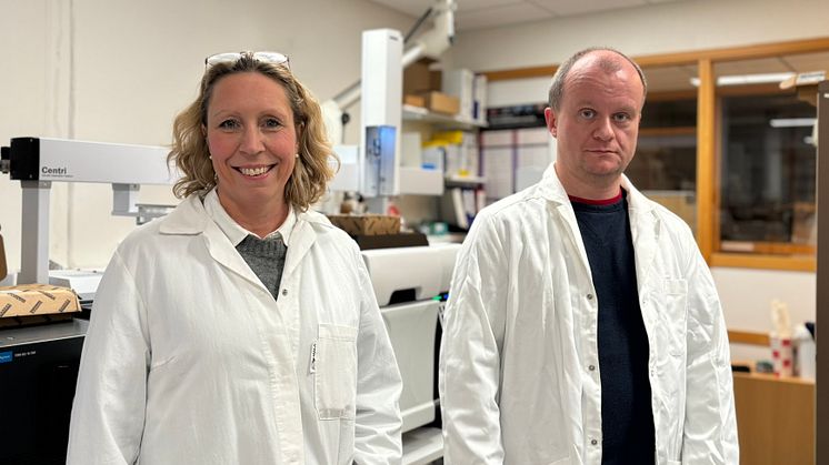 Forskningsdirektør Pernilla Bohlin-Nizzetto og seniorforsker Pawel Rostkowski leder arbeidet med NILU senter for produktanalyse. Foto: NILU