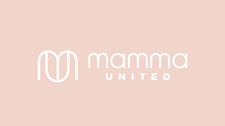 Ideella föreningen Mamma United får 2 miljoner för att hjälpa kommunerna finansiera förebyggande arbete i socioekonomiskt eftersatta områden