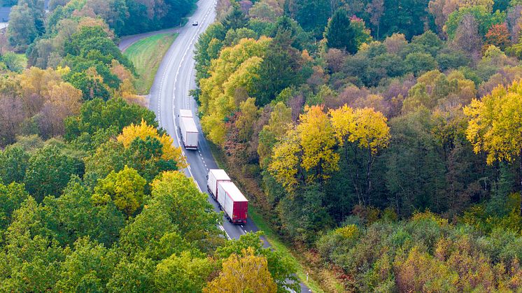 Var tioende bolag i transportsektern äger minst en ellastbil