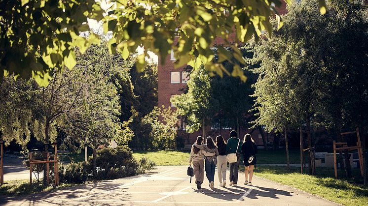 Fortsatt hög behörighet bland Malmös niondeklassare