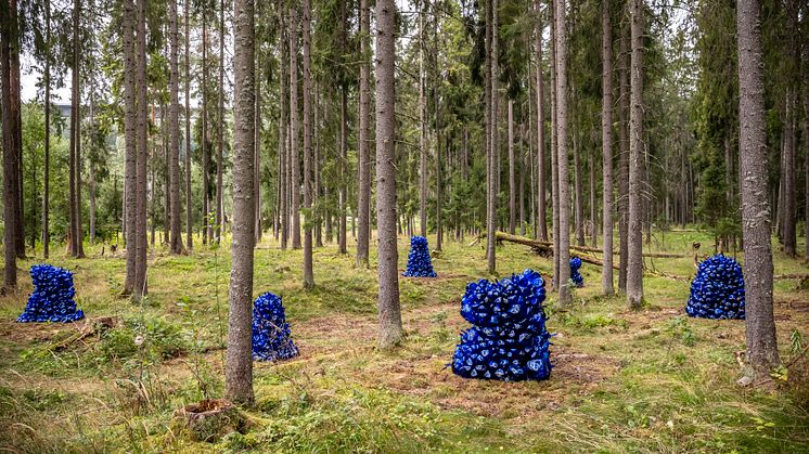Whistleblower consists of six glass sculptures created by the internationally renowned artist Kader Attia. Each glass sculpture is carefully placed in the forest at Kistefos by the artist himself. Photo: Vegard Kleven.