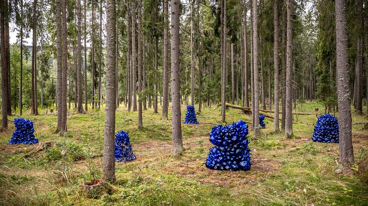 Whistleblower består ava seks glasskulpturer laget av den internasjonalt anerkjente kunstneren Kader Attia. Hver glasskulptur er nøye plassert i skogen på Kistefos av kunstneren selv. Foto: Vegard Kleven.