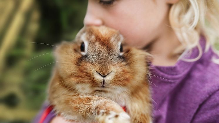 A Colourful Easter Surprise: schleich® Gifts for Animal Lovers