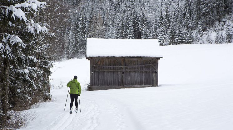 Person åker skidor i vinterlandskap 