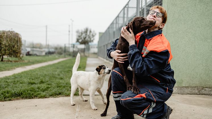 Happy Dog und Happy Cat unterstützt "feed a dog" und "feed a cat" mit Futterspenden.
