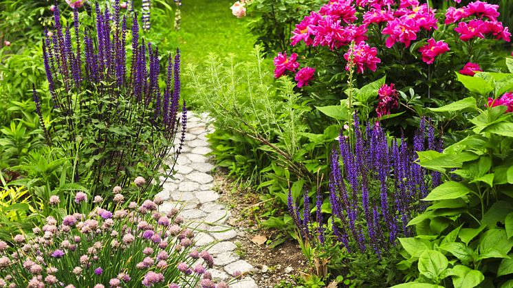 Blommig trädgård.jpg