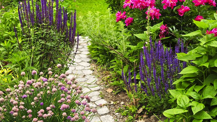 Blommig trädgård.jpg