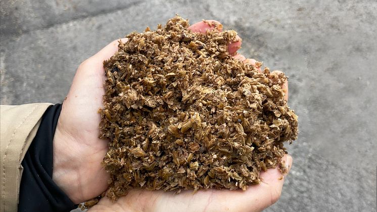 Minskat matsvinn när restprodukt från ölbryggning används till nya matvaror i nytt projekt