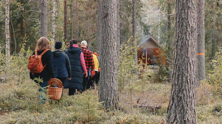 Grupp i skogen