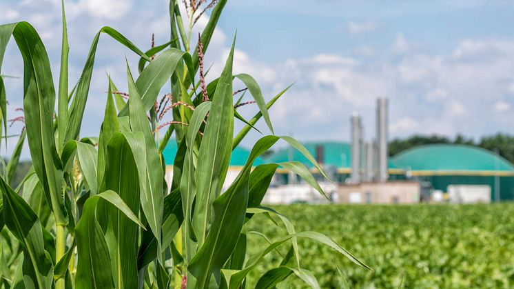 Skattebefrielsen för biogas och biogasol