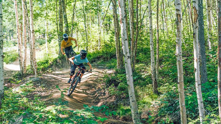 Lekfull cykling i Sveriges bästa bike park - Järvsö Bergscykel Park. Foto: Järvsö Bergscykel Park
