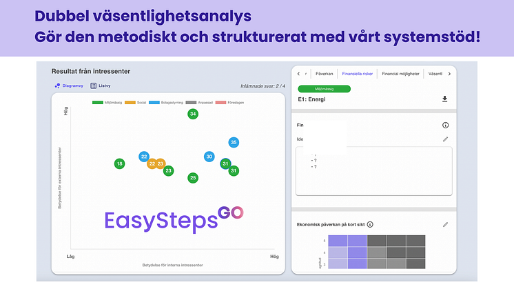 Dubbel väsentlighetsanalys med systemstöd!