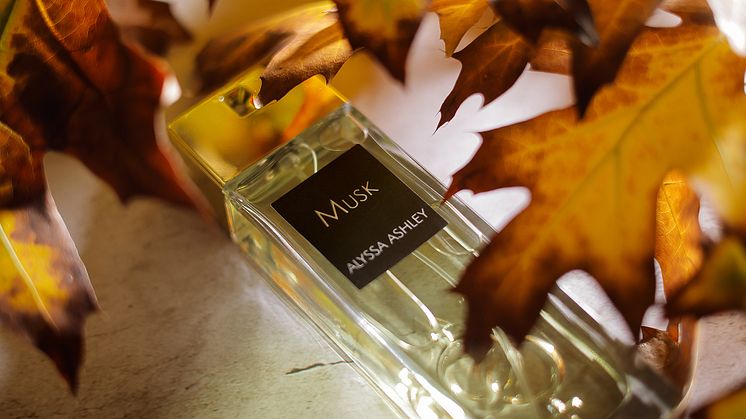 Musk EdP från Alyssa Ashley