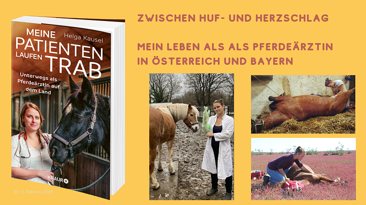 Tierrettung, Geburtshilfe und Alltagschaos. Als Pferdeärztin im Einsatz in Bayern und Österreich