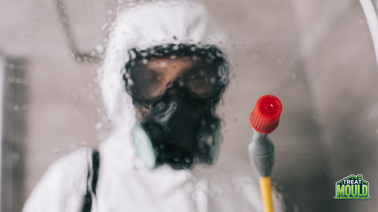 Professional mould treatment and cleaning services across London and nearby towns.