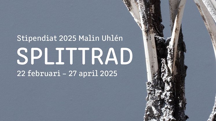 Malin Uhléns utställning Splittrad visar lergods i spännande och innovativa former.