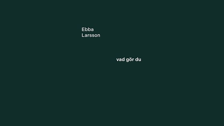 Ebba Larsson debuterar med stark berättelse om ångest och identitet
