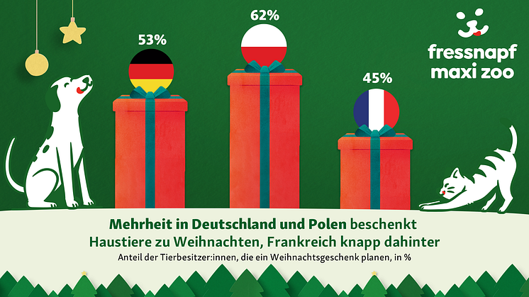 Die Mehrheit der Tierbesitzer:innen in Deutschland und Polen plant ein Weihnachtsgeschenk fürs Haustier