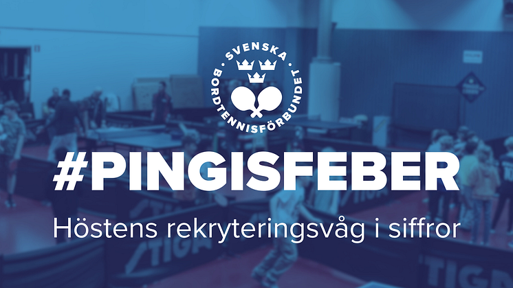 Den nationella pingisfebern i siffror