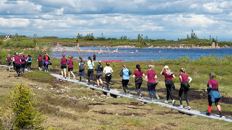 Grupp kvinnor springande på fjället