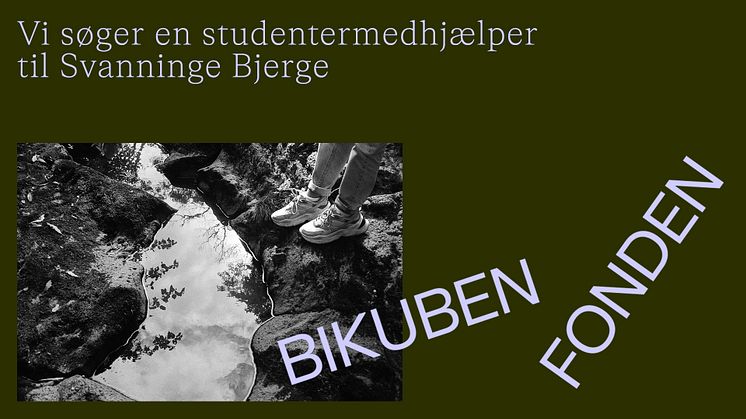Studentermedhjælper til Svanninge Bjerge