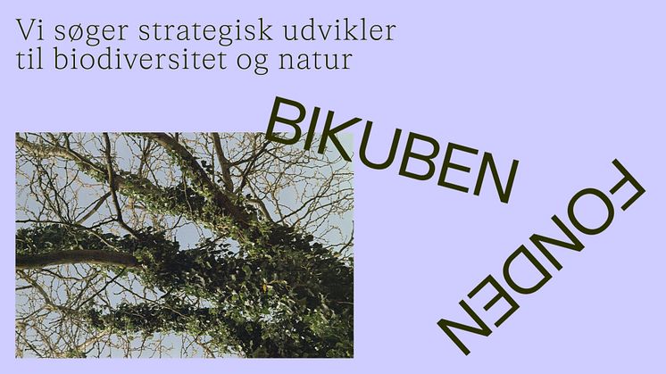 Strategisk udvikler til biodiversitet og natur i Bikubenfonden