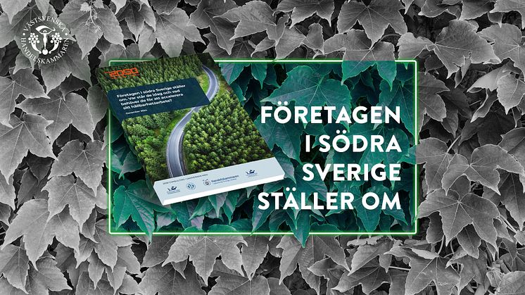 Västsveriges omställning hotas av kortsiktig politik
