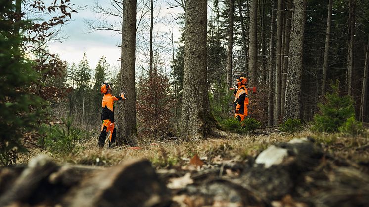 Turvallinen työympäristö on yhä haaste metsä- ja viheralalla – käy ilmi STIHLin uudesta raportista.