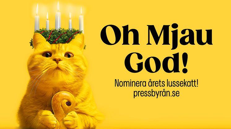 Pressbyrån utlyser tävlingen Årets Lussekatt 2024