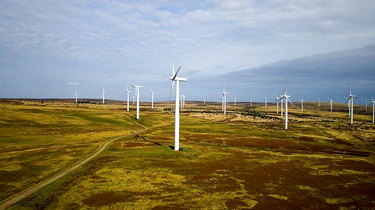 Fred. Olsen Renewables steps back from Borders wind farm site 