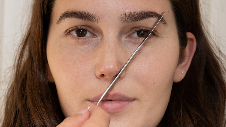 Brow Mapping (1).png