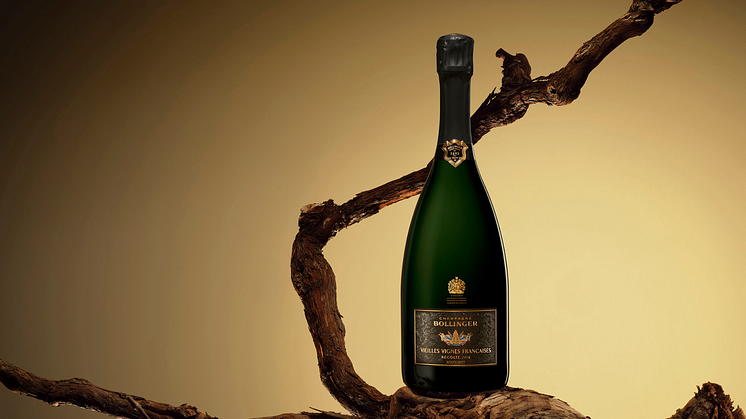 Från Champagnes oympade vinstockar lanseras nu Bollinger Vieilles Vignes Françaises 2014